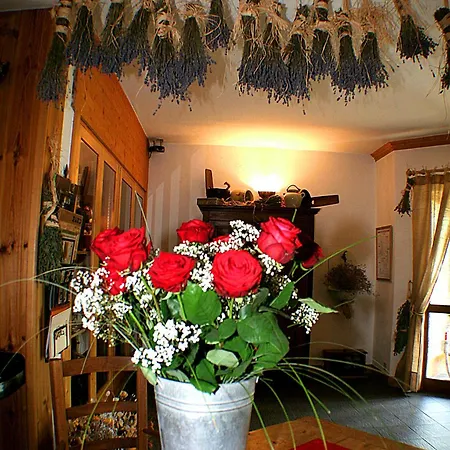 Hotel Autantic